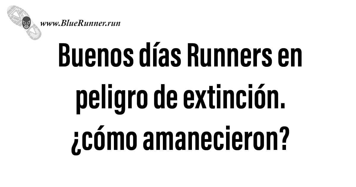 Buenos días Runners en peligro de extinción. ¿Cómo amanecieron? -  